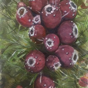 TUNOS ROJOS