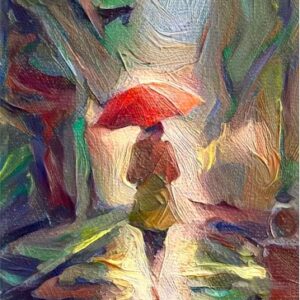 SUEÑO EN LA LLUVIA